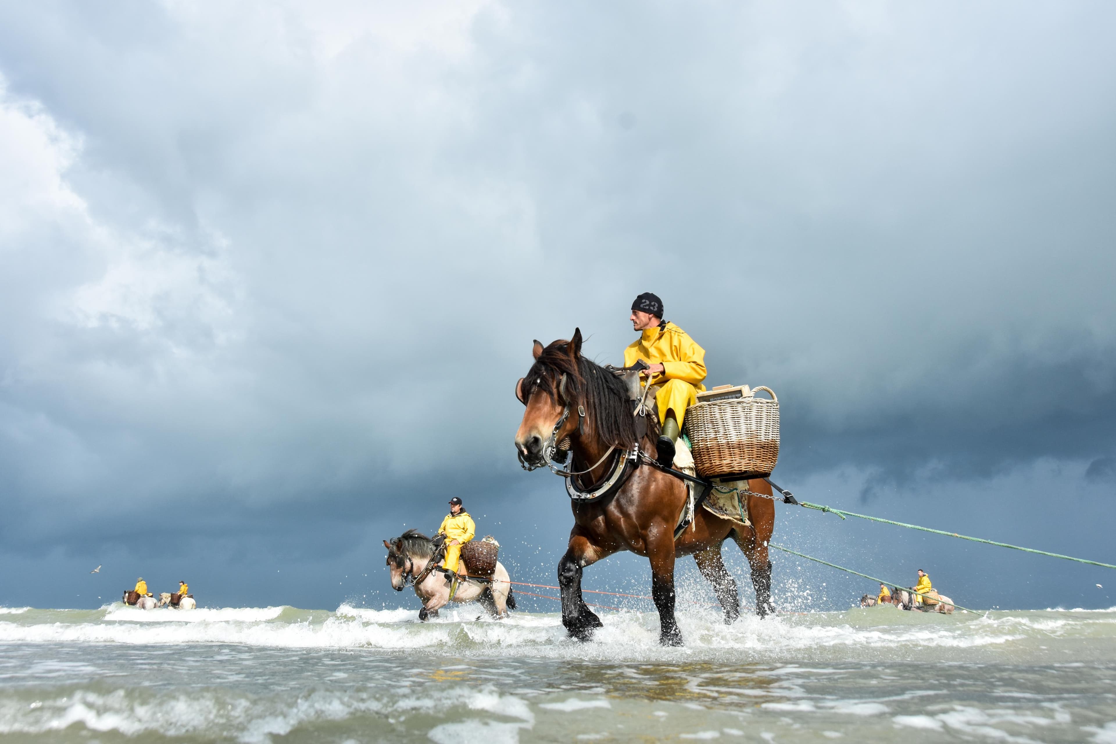 Garnaalvissers te paard: uniek erfgoed aan zee