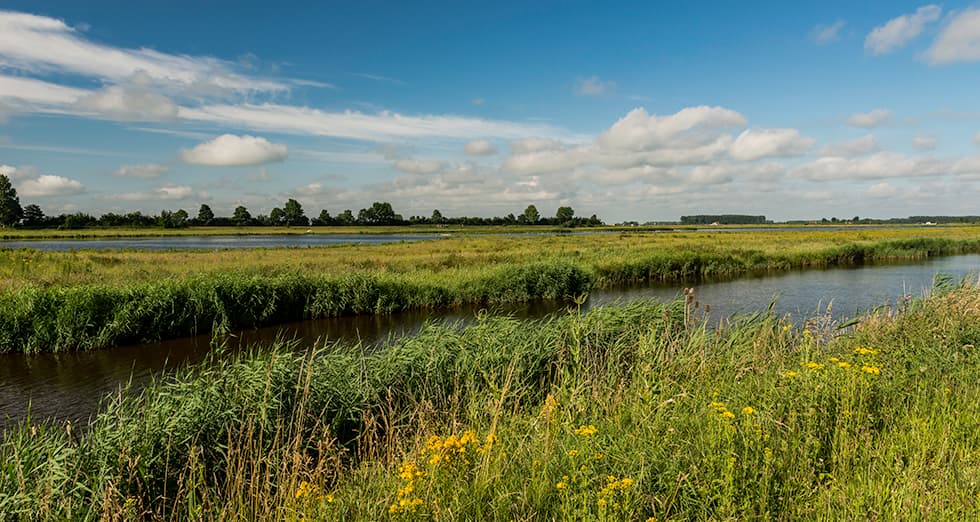 Uitkerkse Polder: een paradijs voor vogelspotters